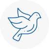 Bird Prevention So24