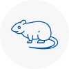 Rat Control So24