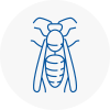 So24 Wasp Nest Removal